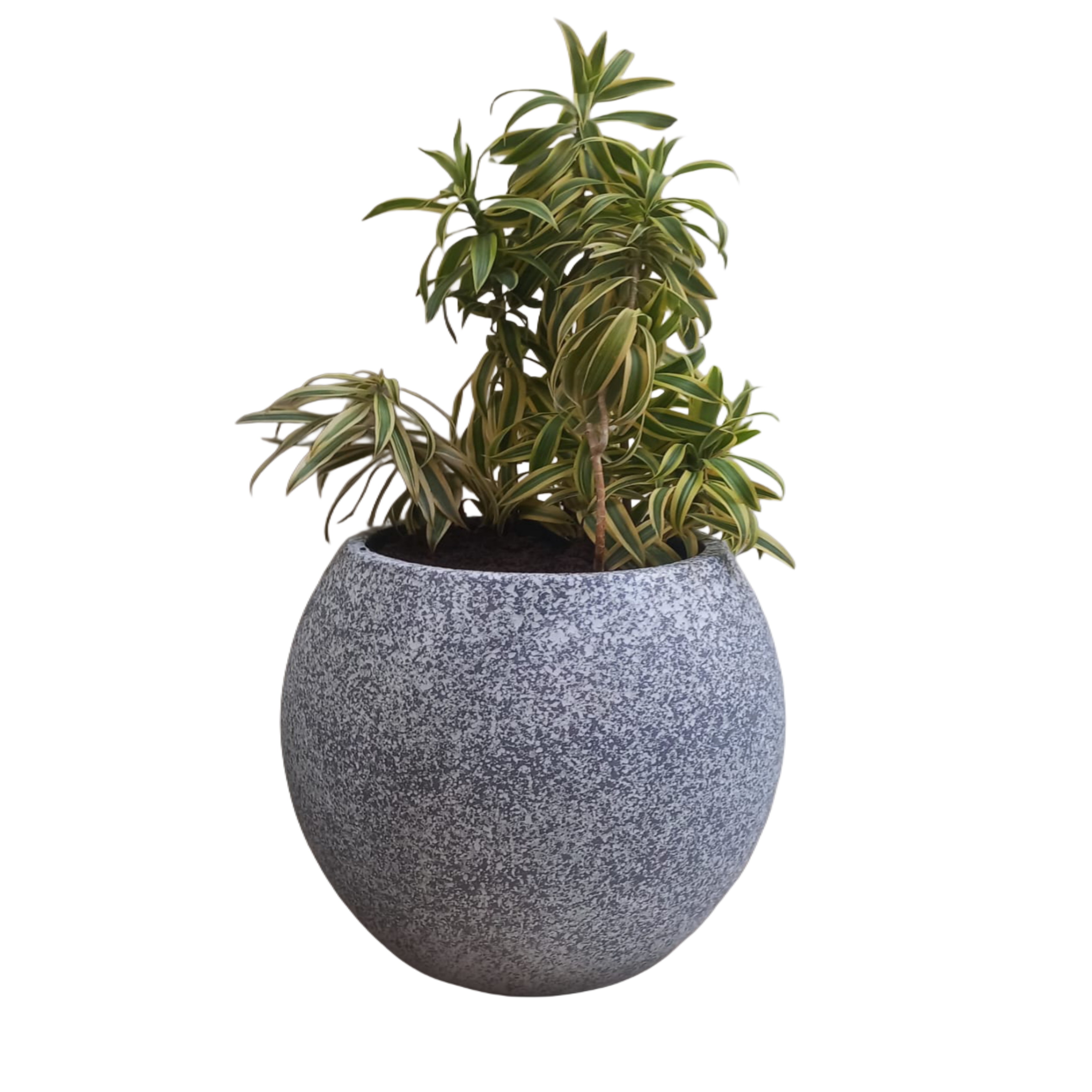 Eco-Friendly Bamboo Pots